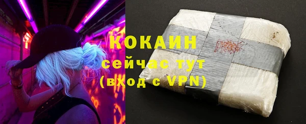 соль ск Туринск