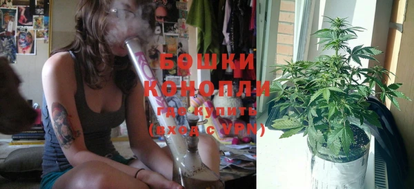 соль ск Туринск