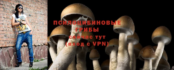 Альфа ПВП Вязьма